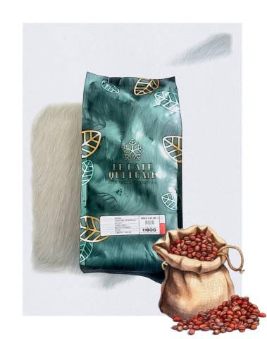Caf Brsilien 1Kg